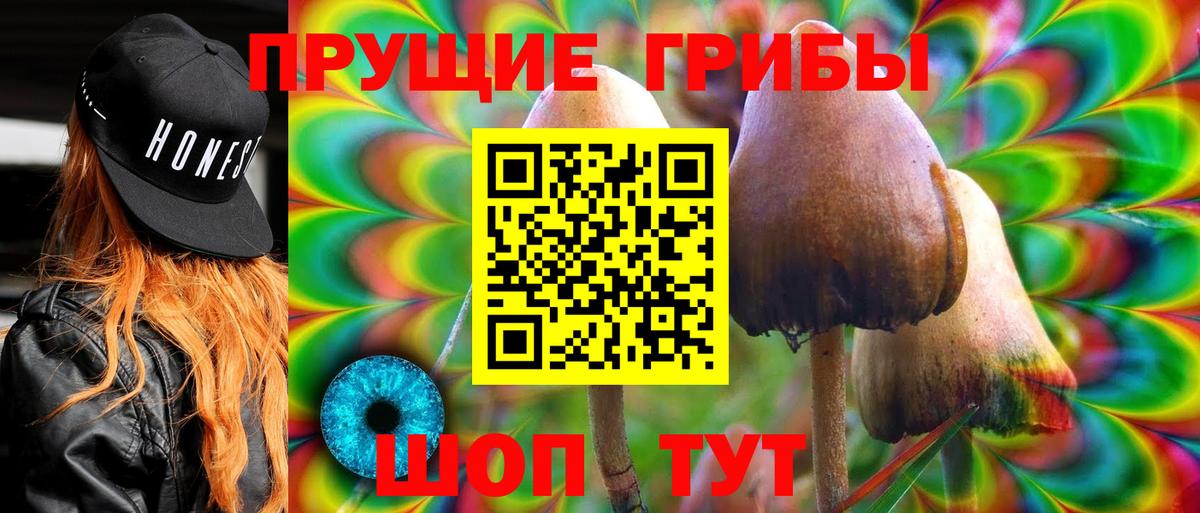 Галлюциногенные грибы Psilocybine cubensis Сертолово